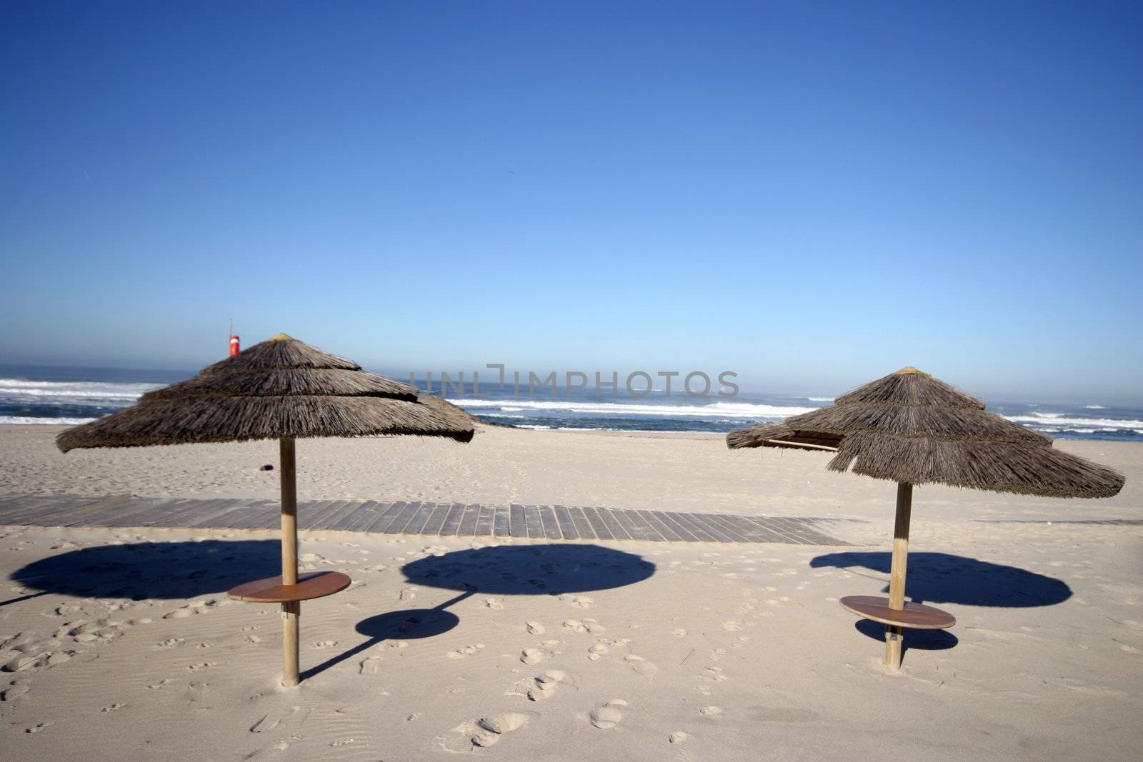 coast in the summer day
