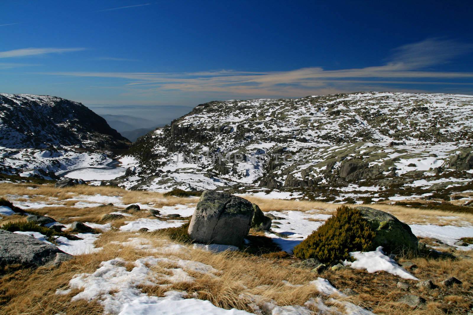 cold winter landscape with snow