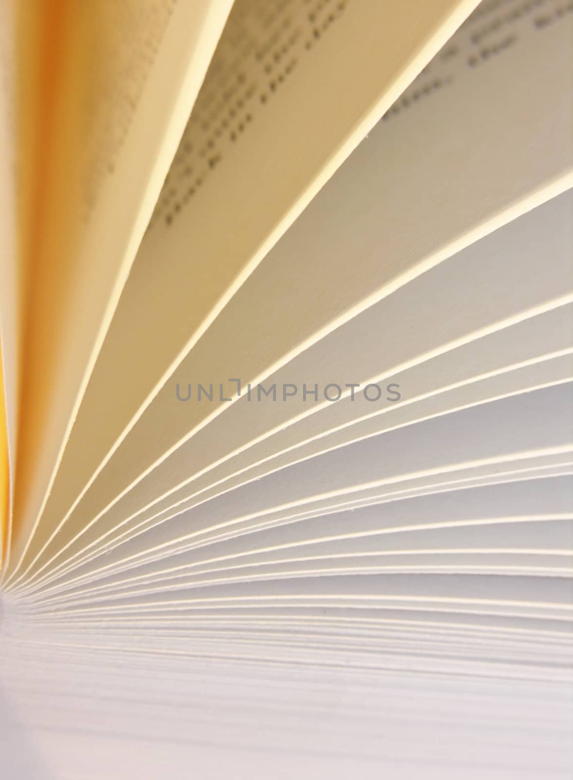 Book pages