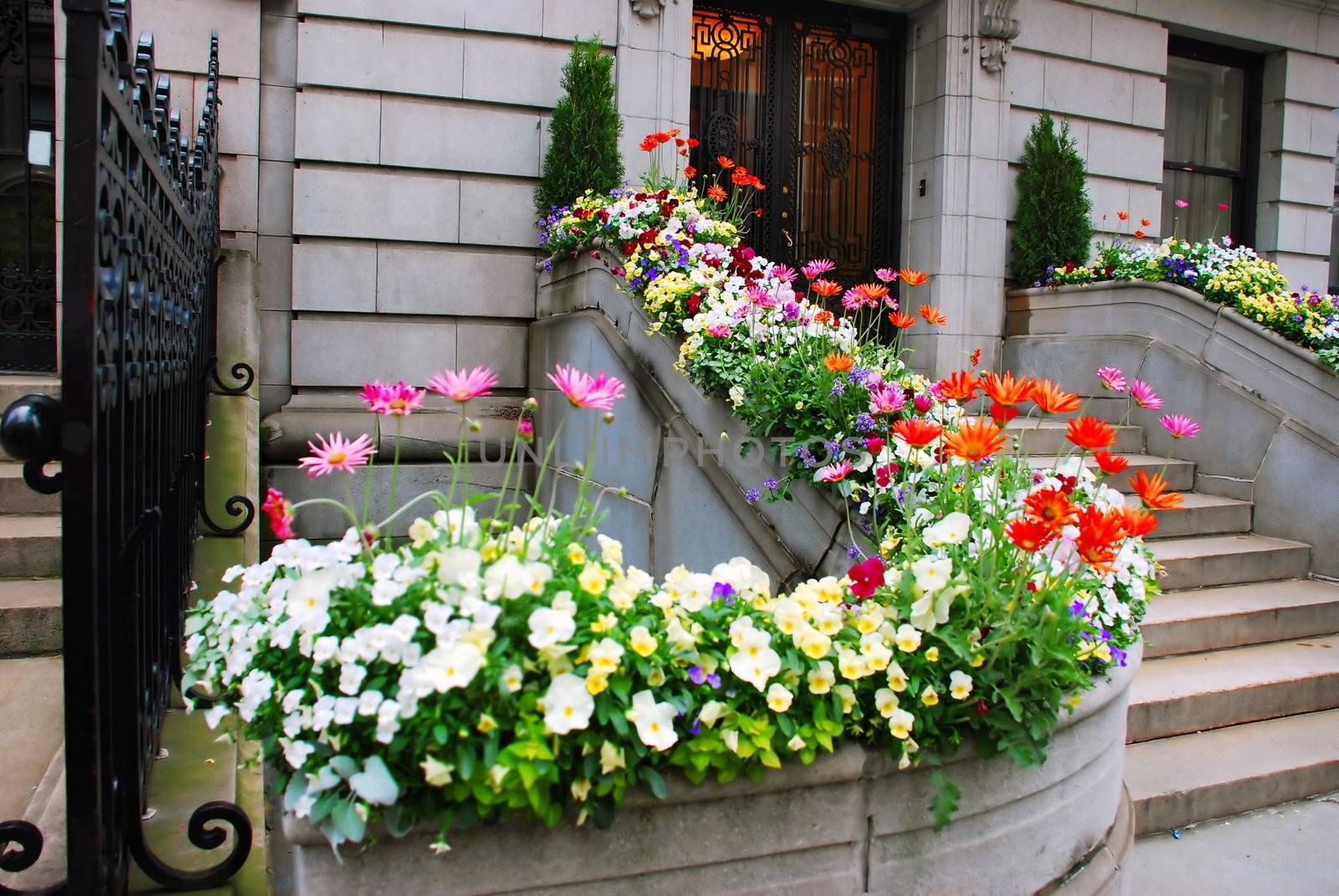 Front stairs of old stone building surrounded by flowers