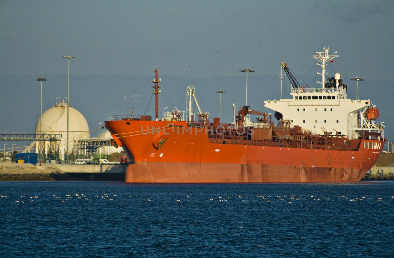 Big cargo container ship unloading