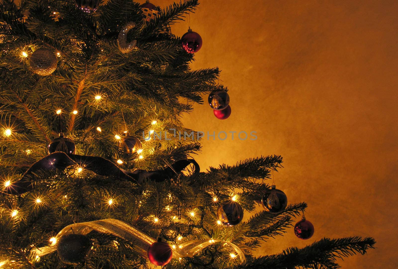 christmas tree by kjpargeter
