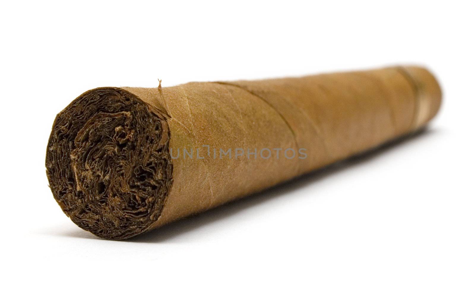 Cuban cigar isolated on a white background.