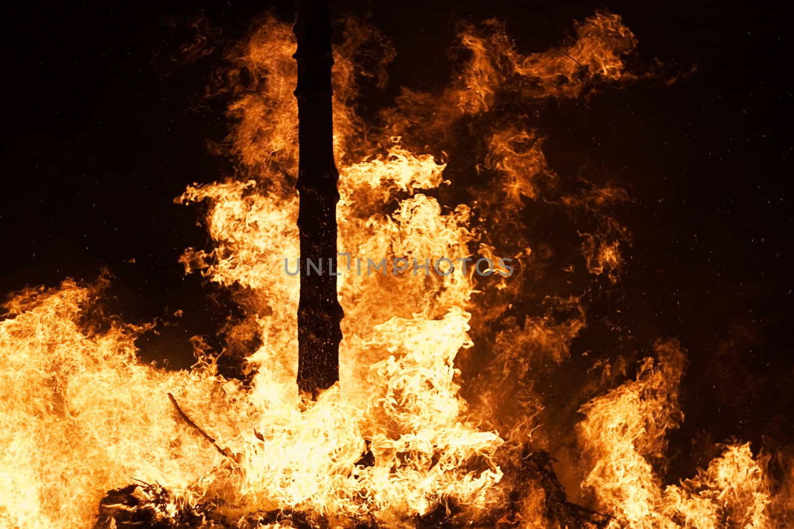 Raging fire in the woods at night.