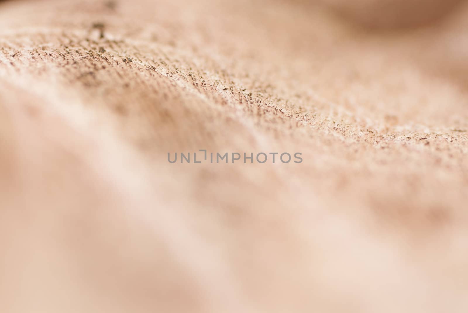Texture of Palm Dirty With Soil. by swellphotography