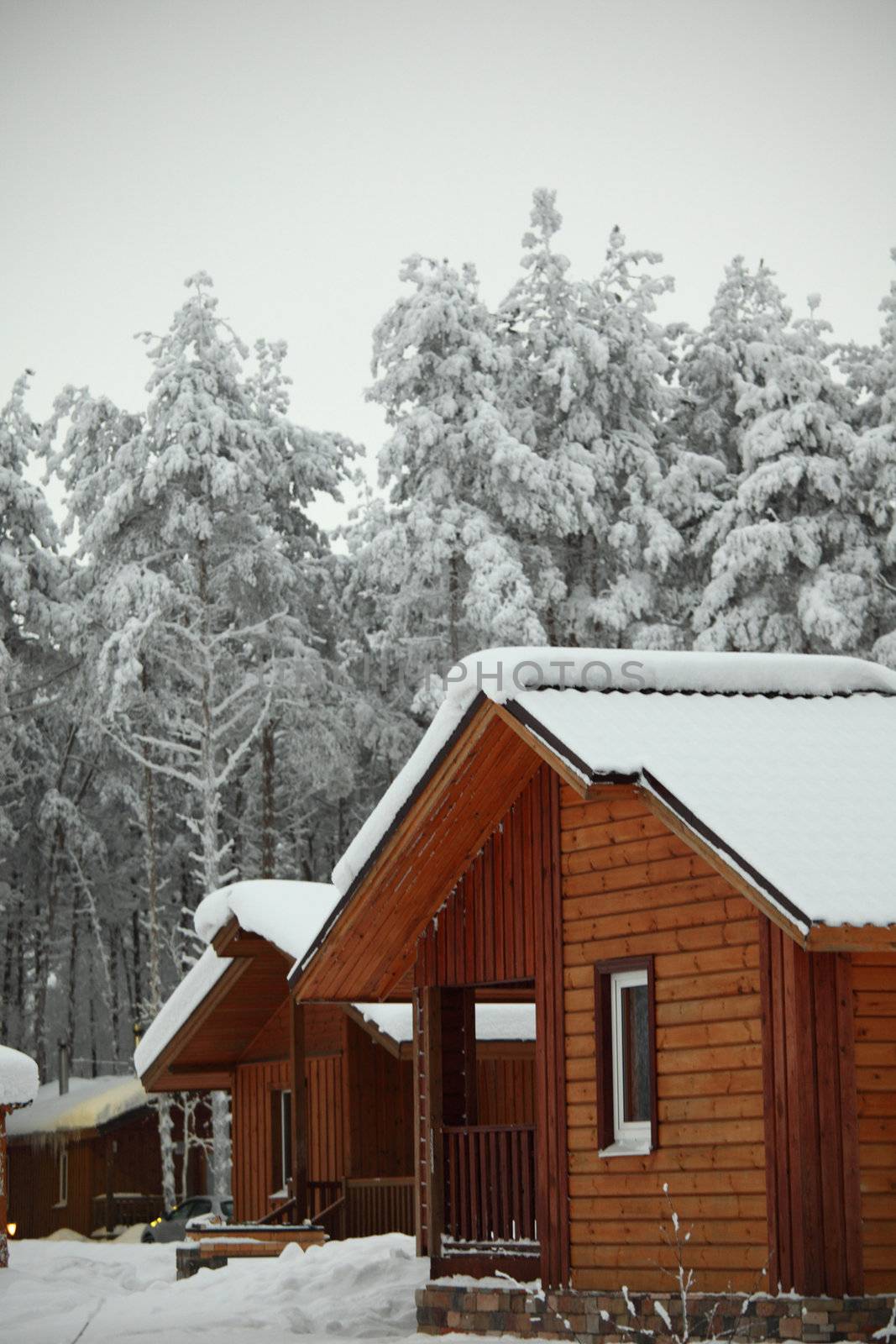 houses in winter forest snow around