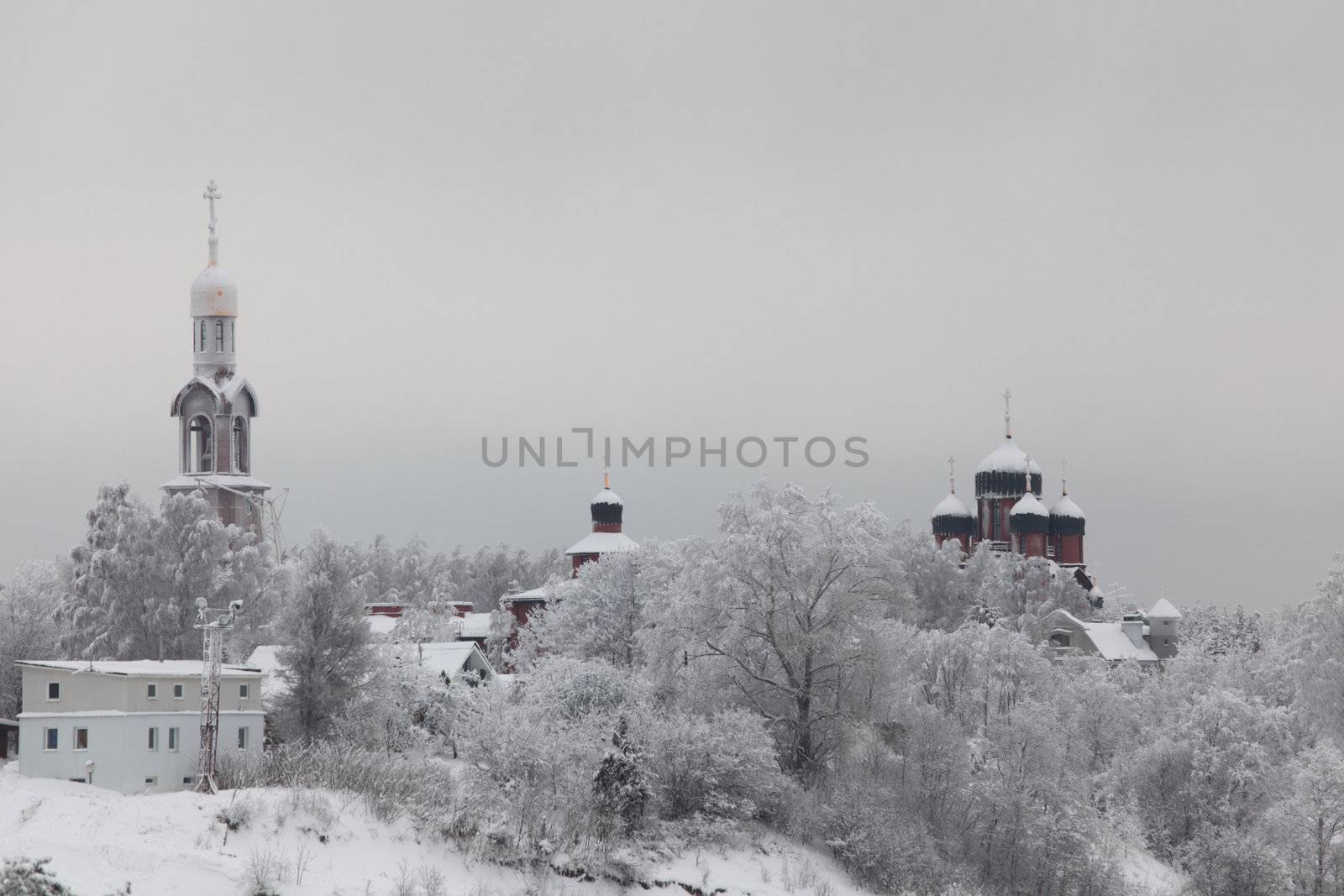 houses in winter forest snow around