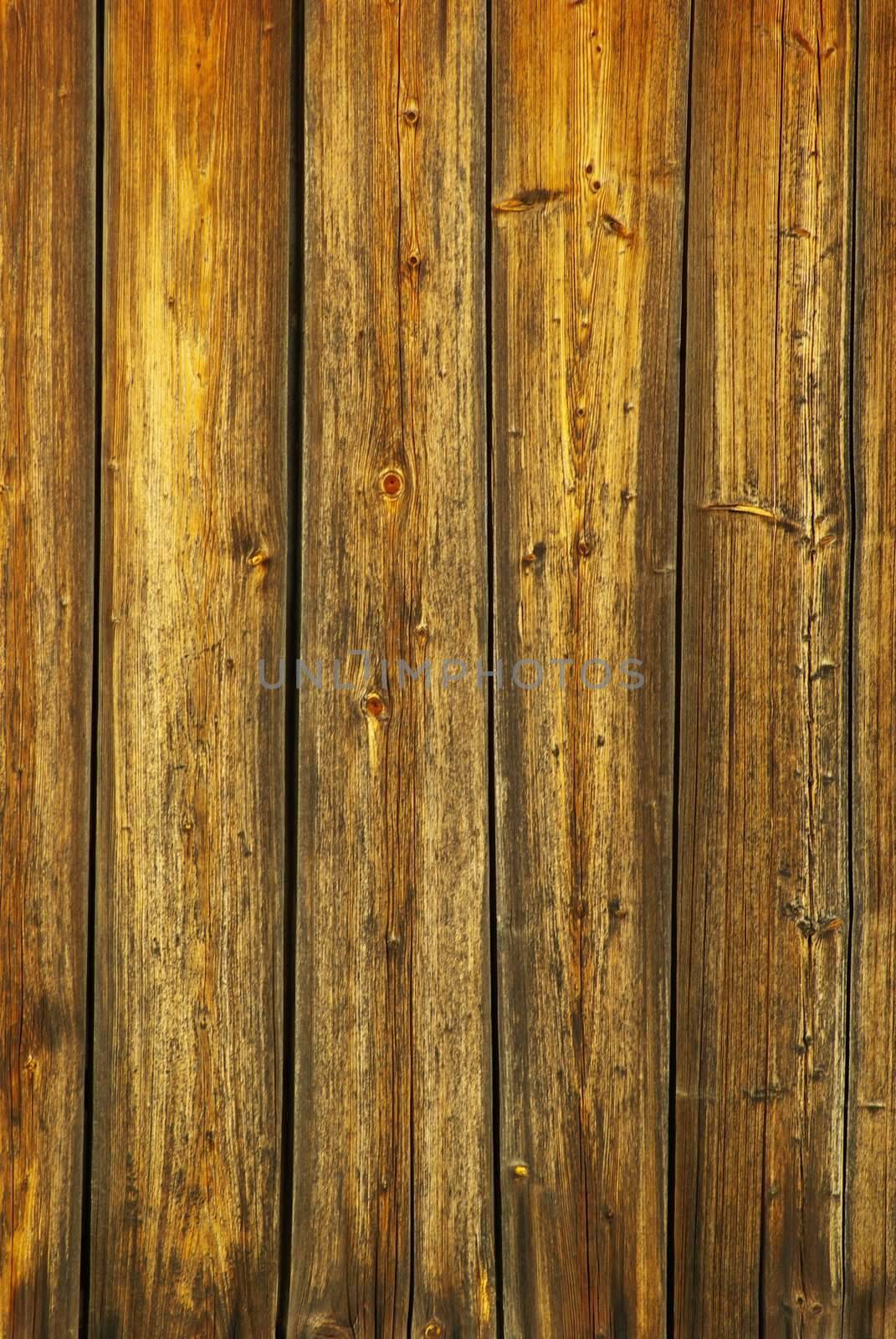  wood texture by Pakhnyushchyy