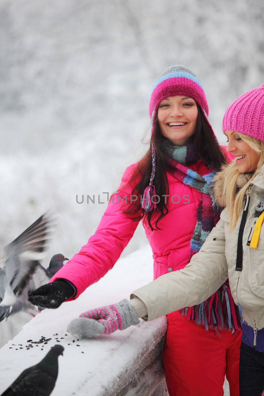 winter women give food to the pigeon