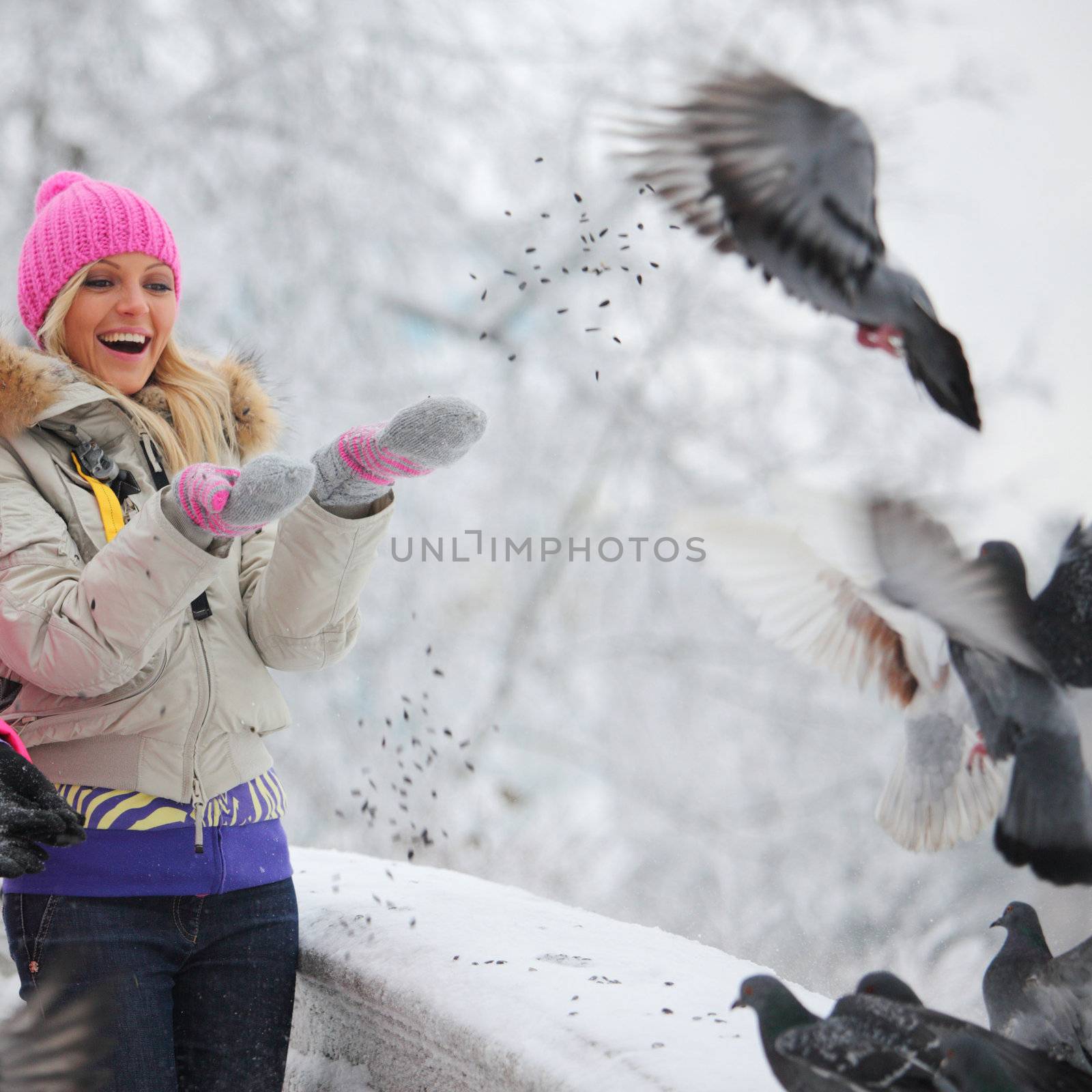 winter women give food to the pigeon