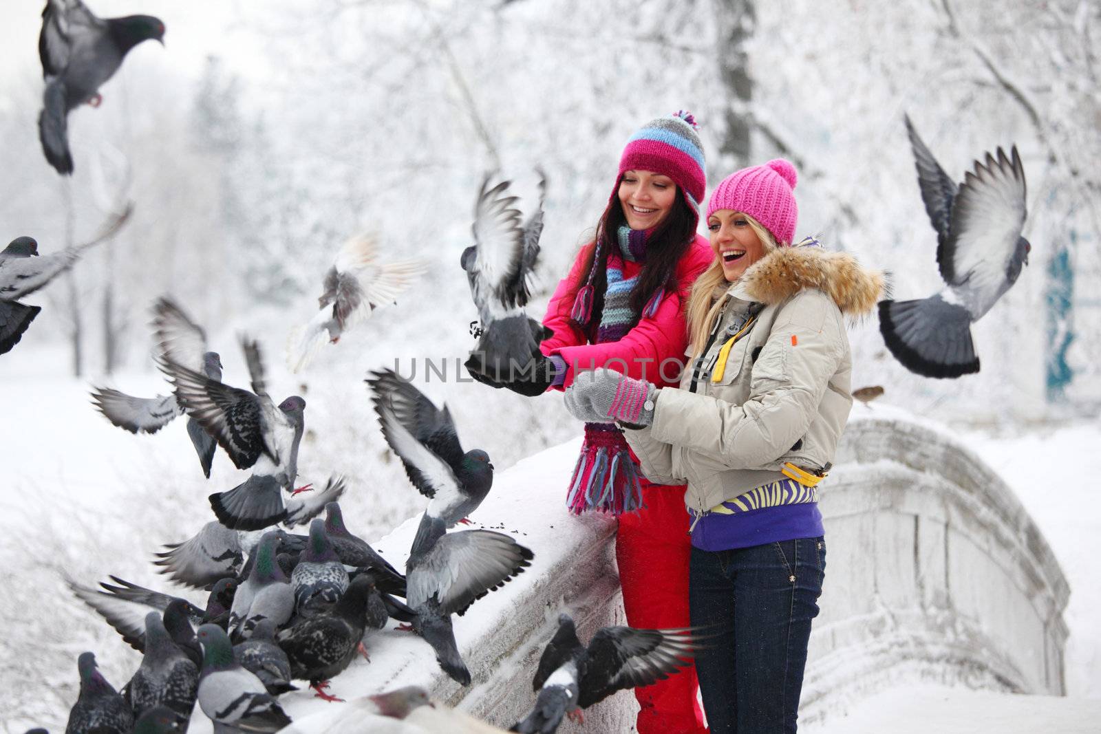 winter women give food to the pigeon