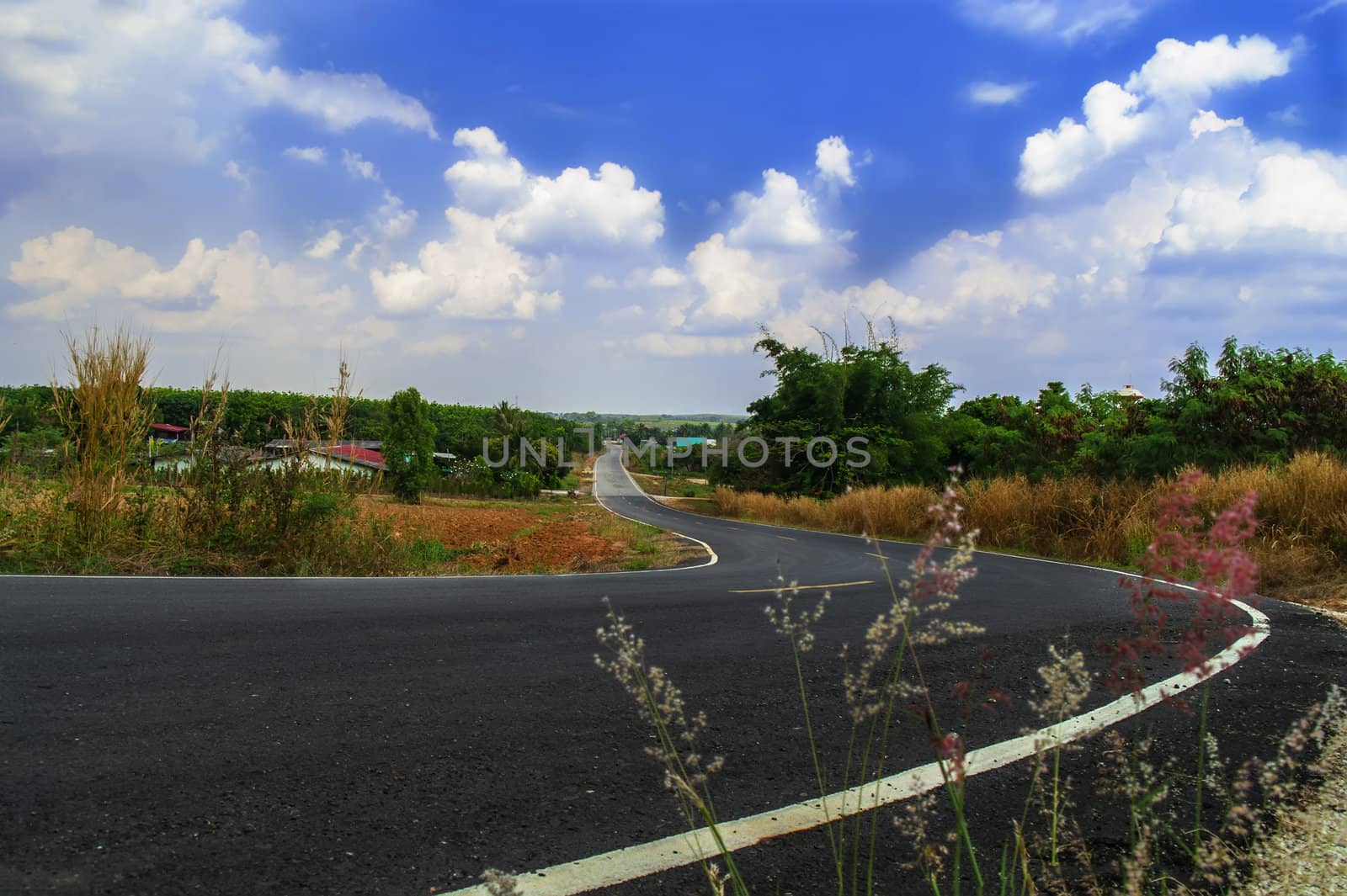 The Road. Rayong Province, Thailand.