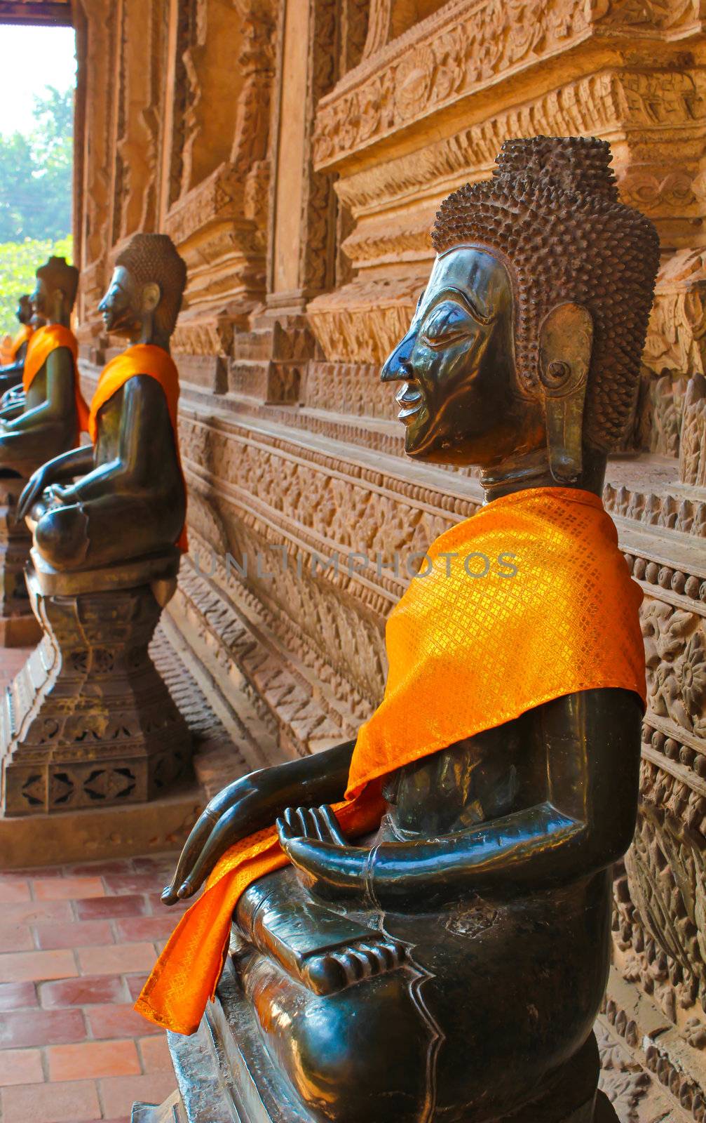 Row of Buddha by coleorhiza