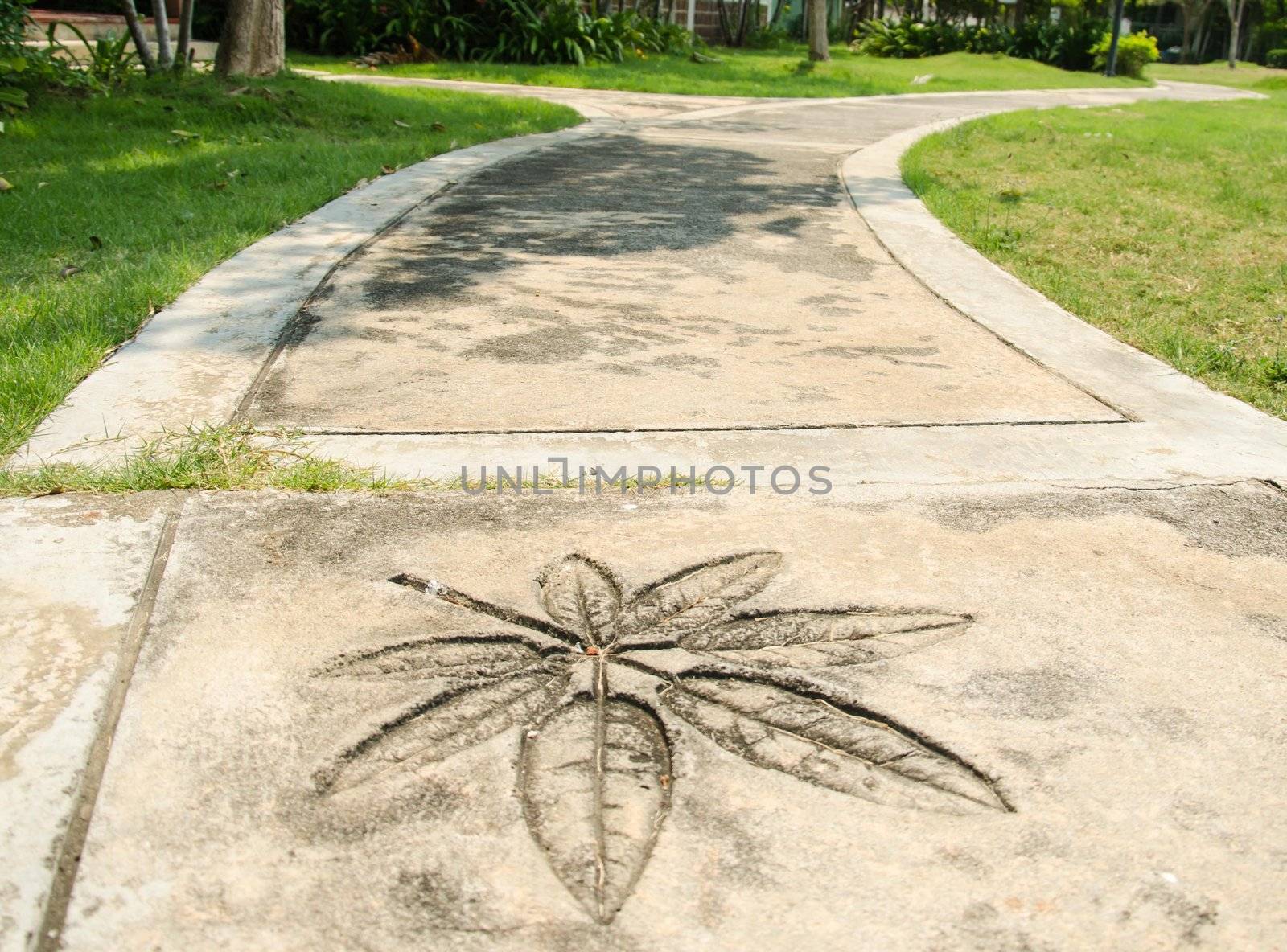 A photo of a pathway - many symbolic uses