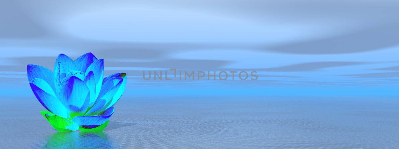 Lily flower in blue ocean by Elenaphotos21