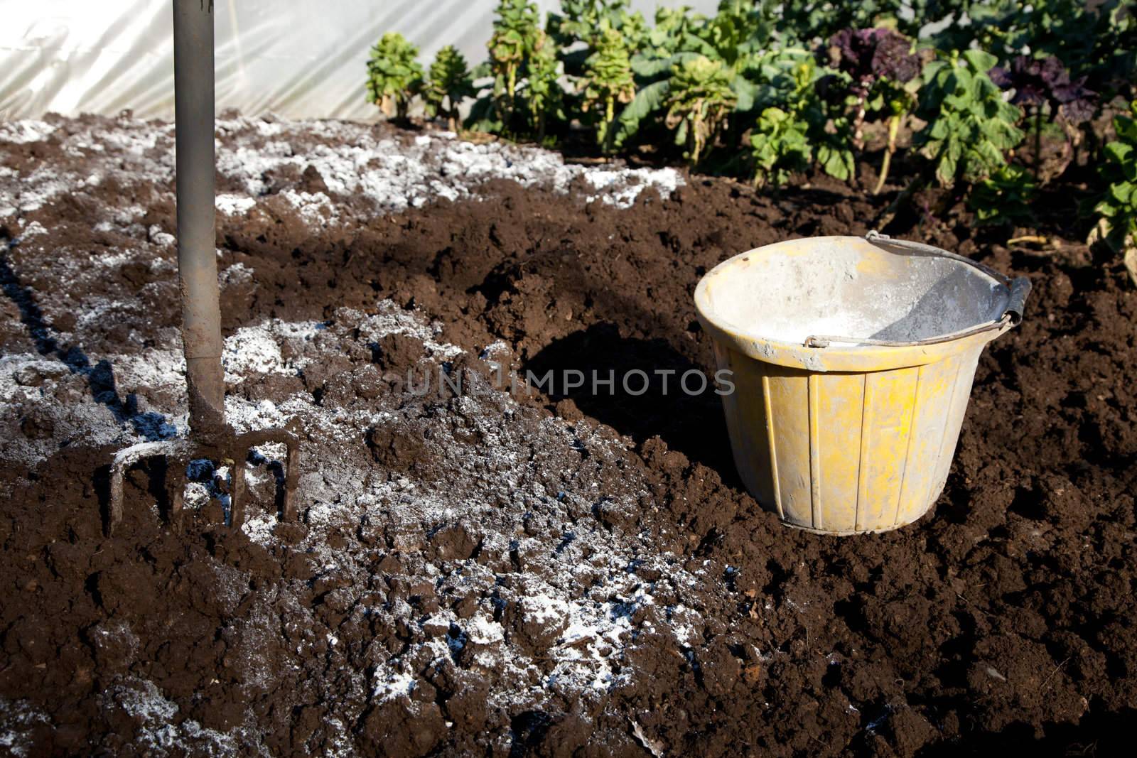 A patch of garden dug over showing a fork and bucket of lime and lime spresd over the soil.
