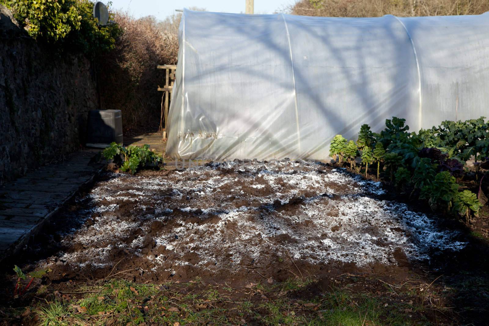 A patch of freshly earth turned over with lime spread over it.