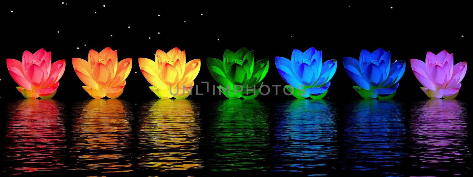 Chakra colors of lily flower upon water in night background