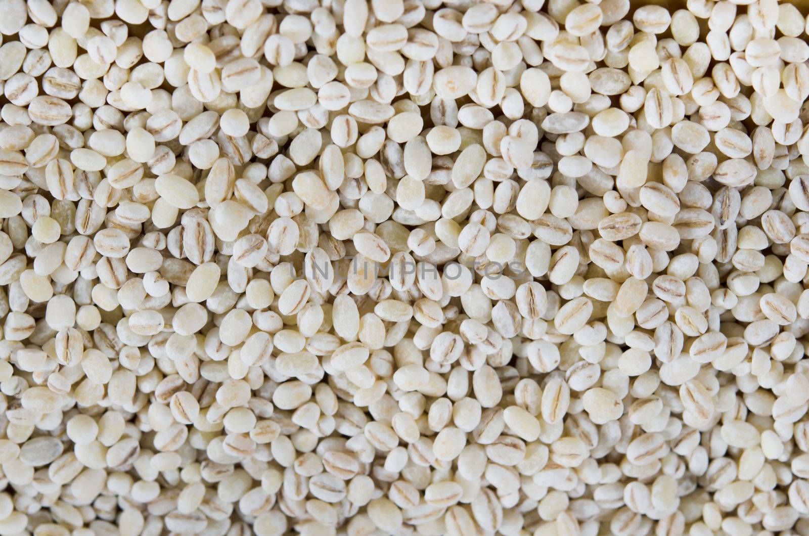 Pearl barley texture background full frame