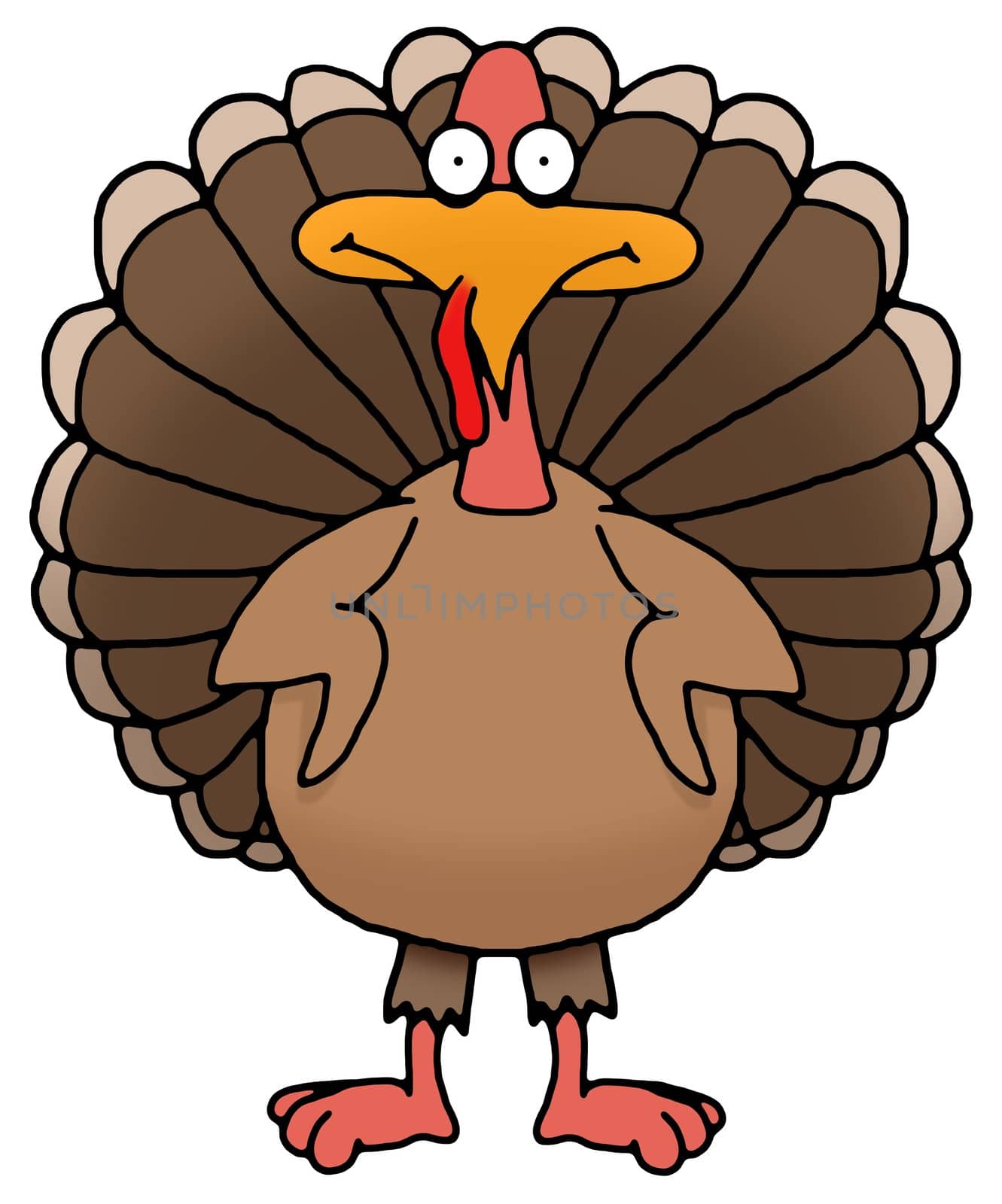 Illustration of an isolated Thanksgiving Turkey
