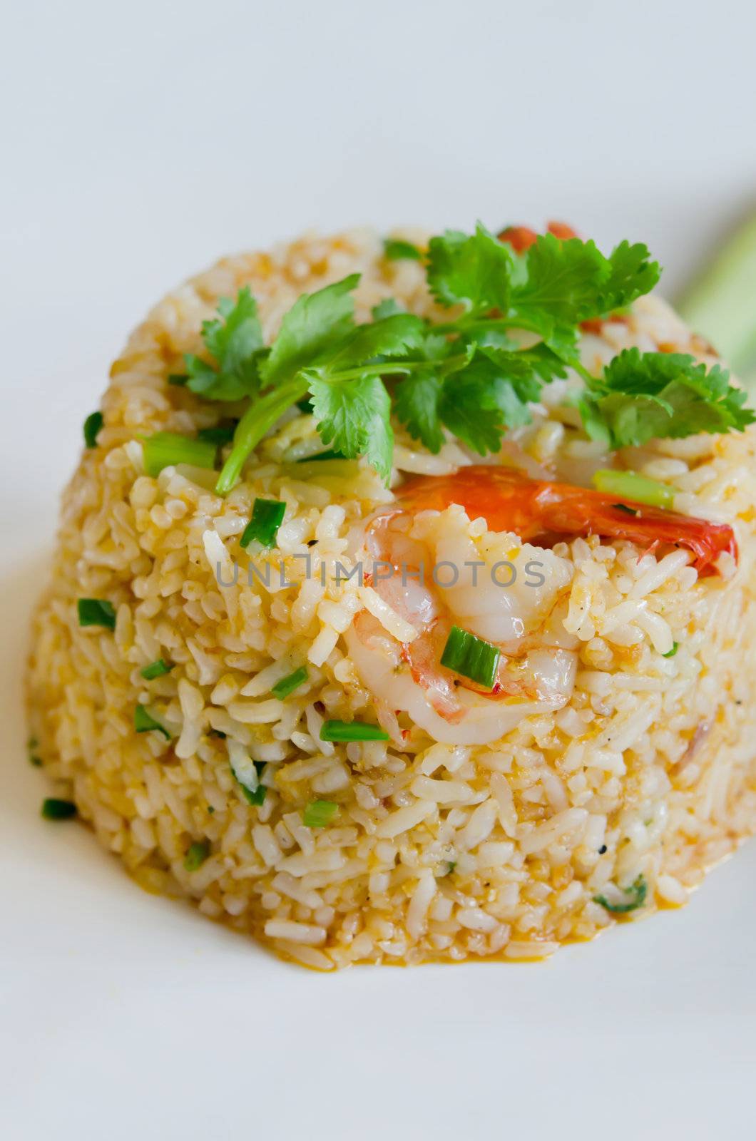 fried rice and  shrimp  , asian cuisine