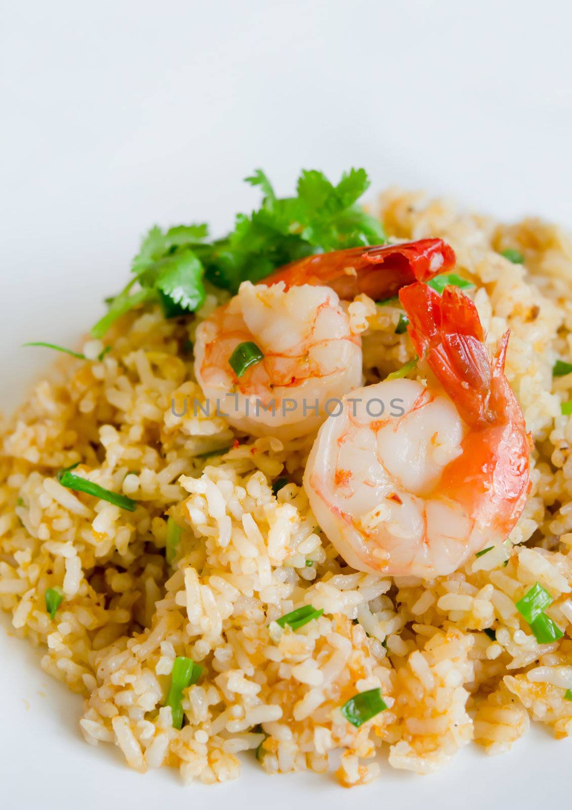 close up fried rice and shrimp  .