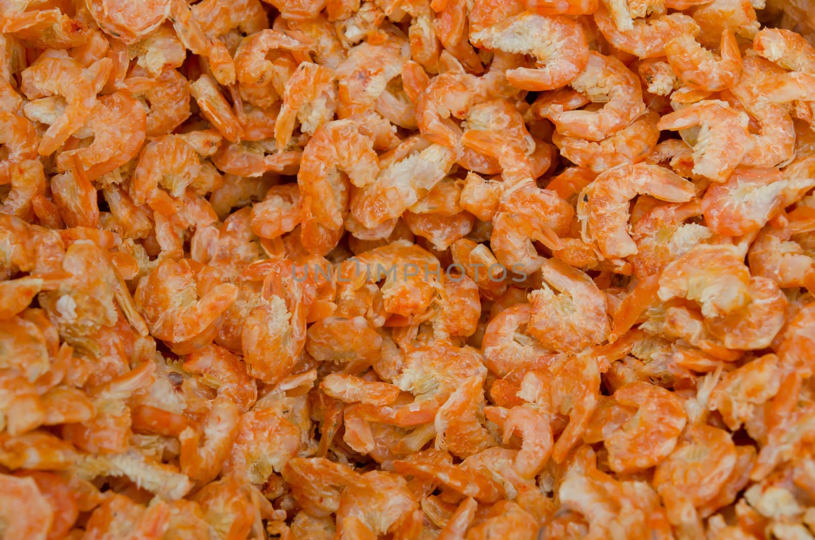 close up dried shrimp full background 