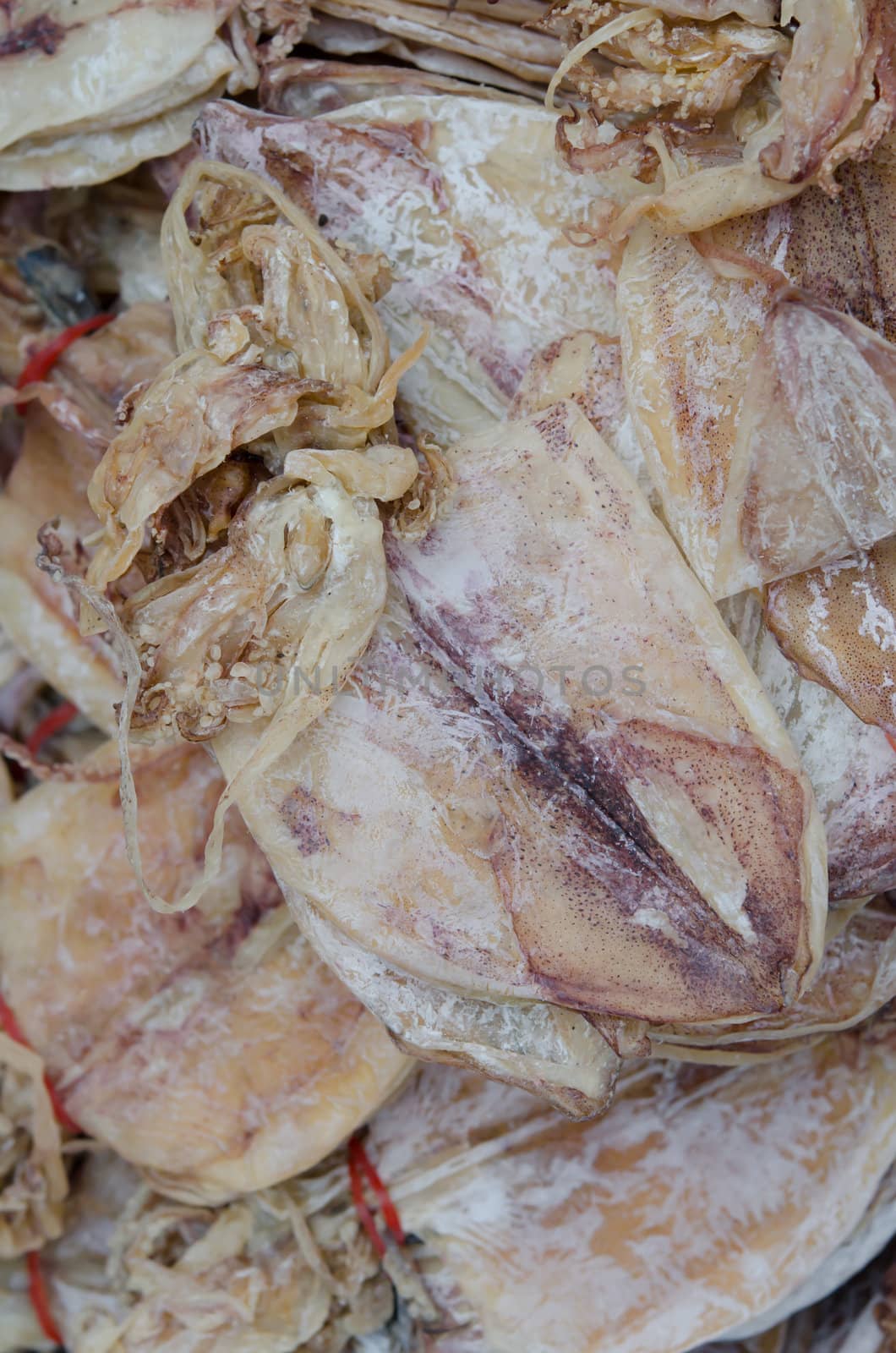 dry squid in market of Thailand , full background