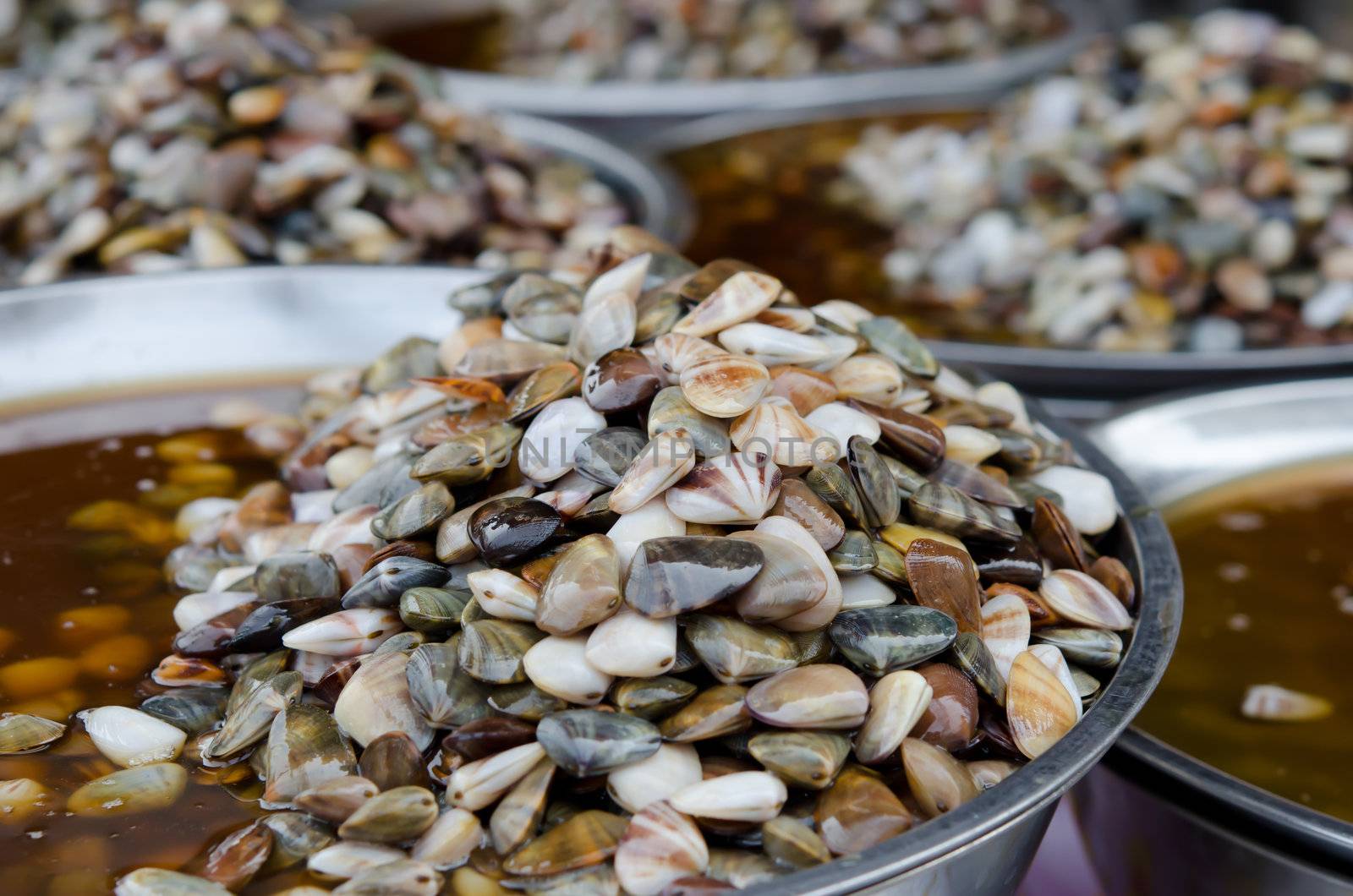 Preserved Razor clam ready for sale in market