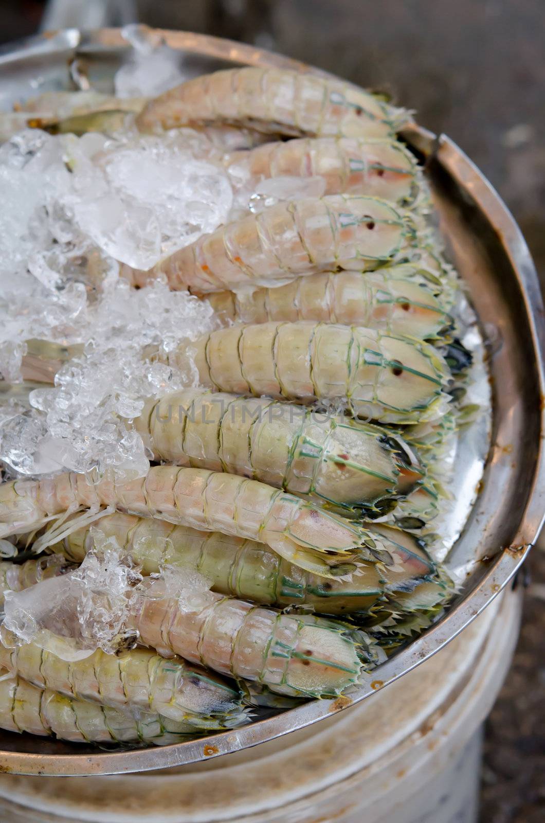 Mantis shrimp with ice in fresh market in Thailand