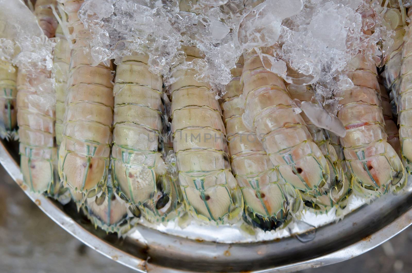 Mantis shrimp with ice in  market for sale