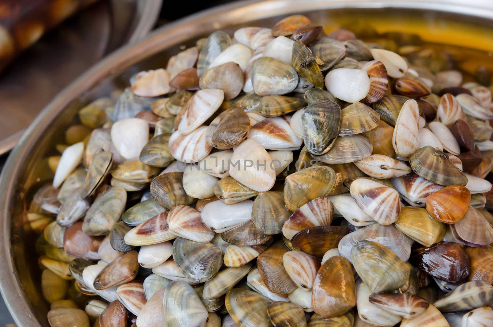 Preserved Razor clam for sale in  market of Thailand