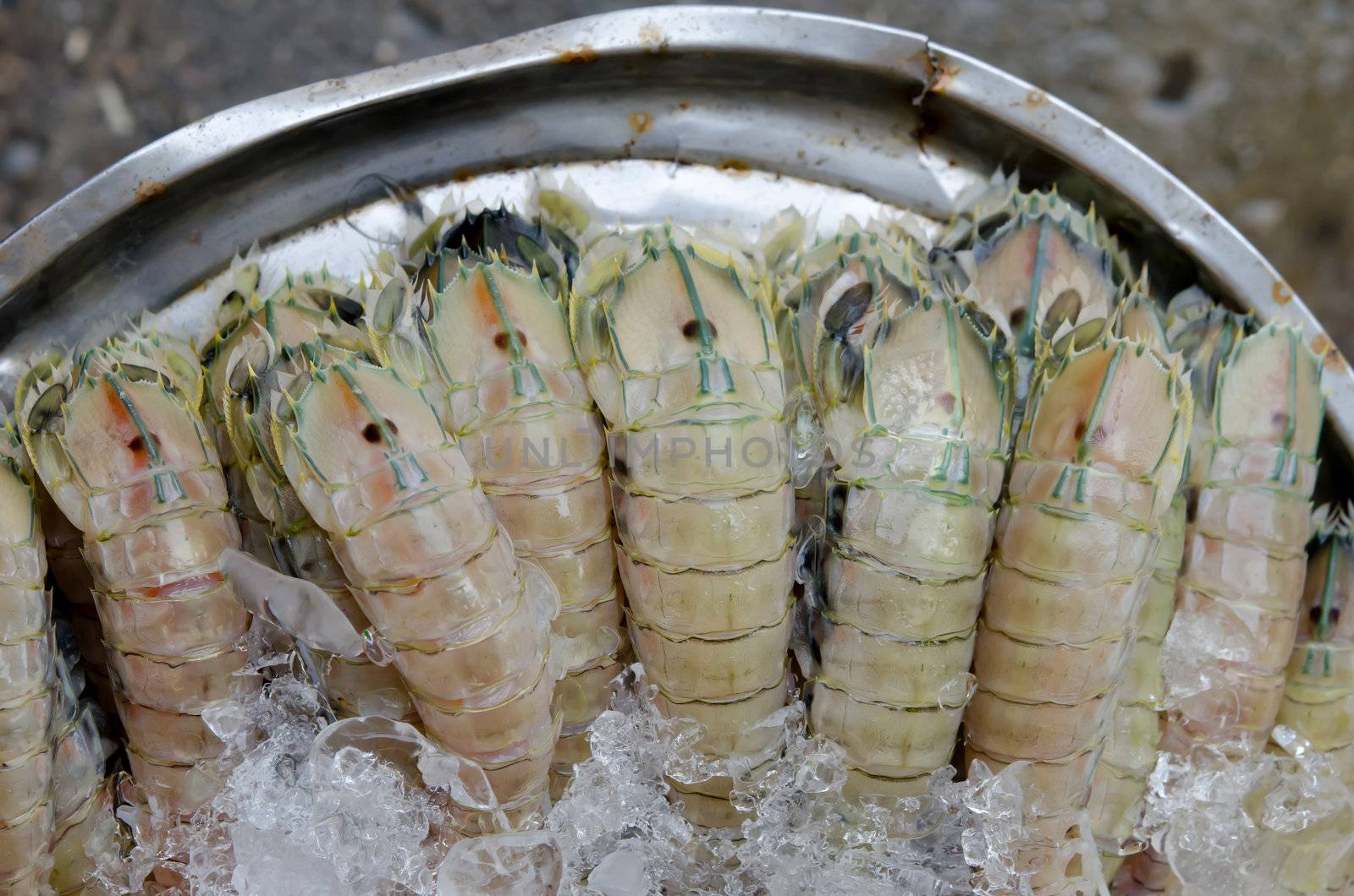 raw mantis shrimp with ice for sale