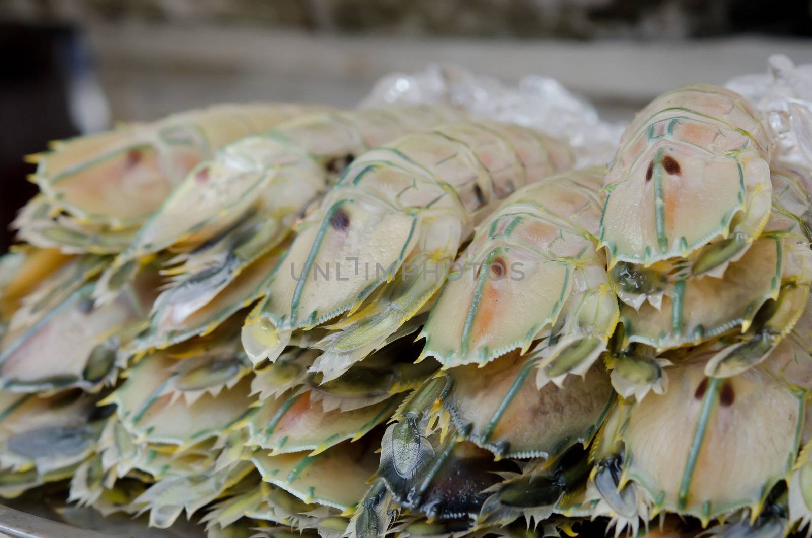 close up mantis shrimp with ice , seafood market