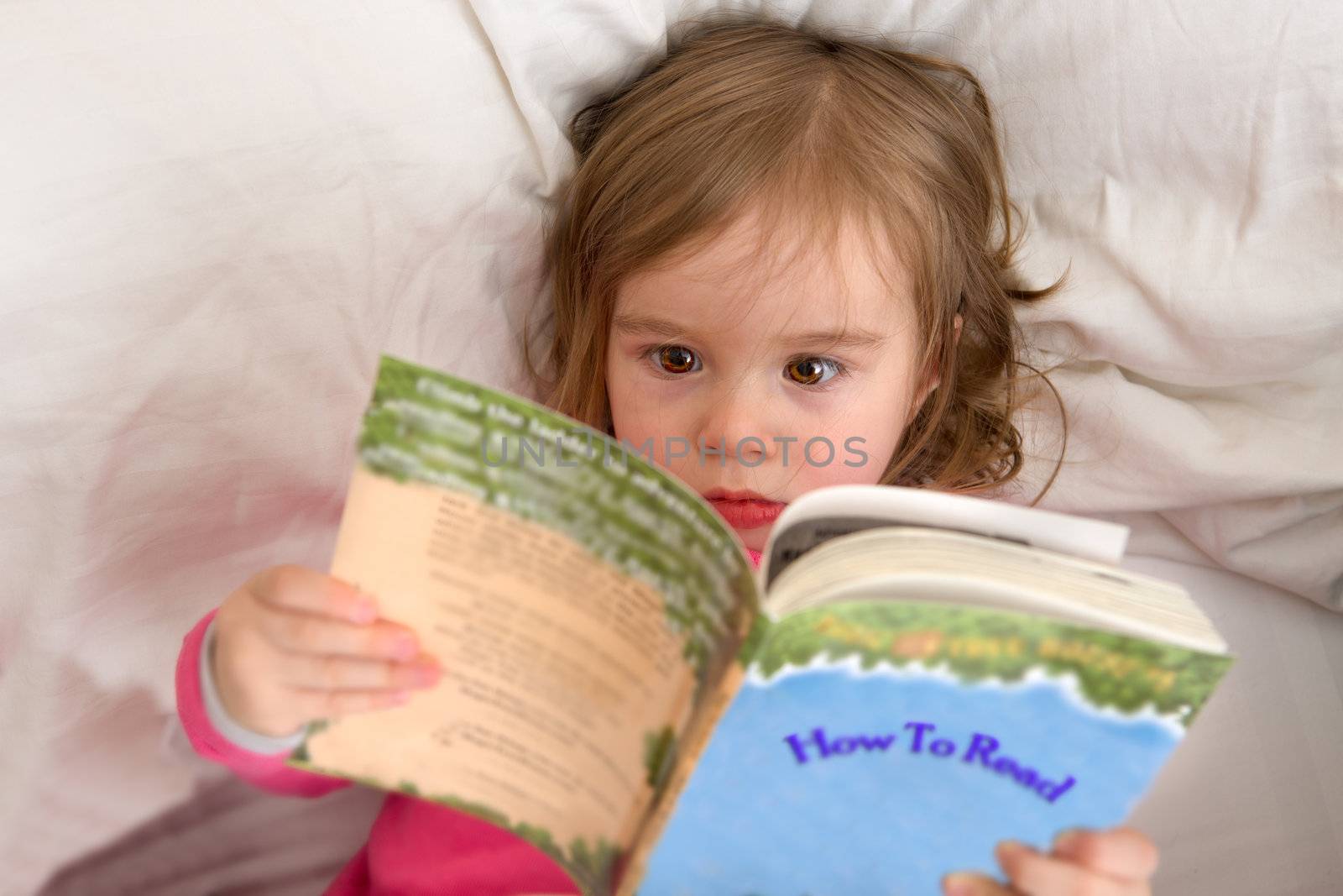 Cute Ttoddler reading her stories before she goes to sleep. Big eyes carefully looking in to letters while her mind moves fast. Perhaps she is speed reader. Reading habits starts with early age.