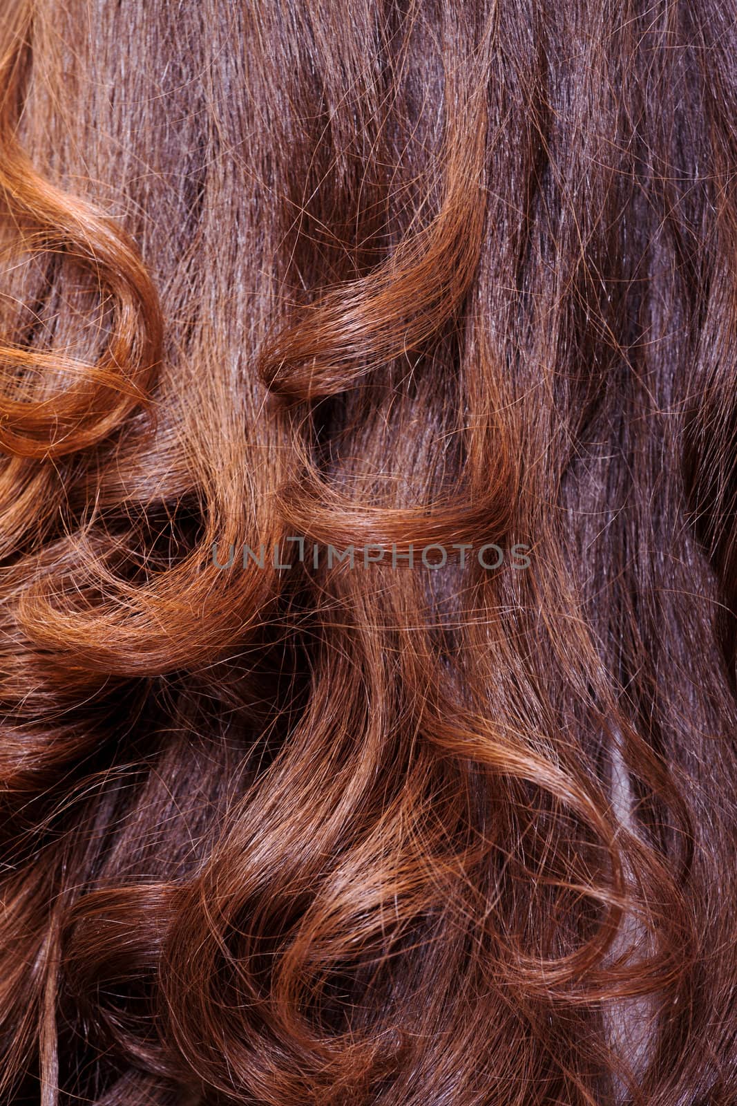 Background of long healthy shiny wavy auburn or brunette hair, studio shot of the back of a female head
