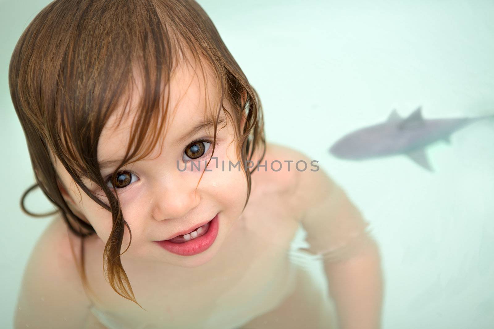 Toddler Girl swimming with her shark toy and looking at camera from the bathtub.