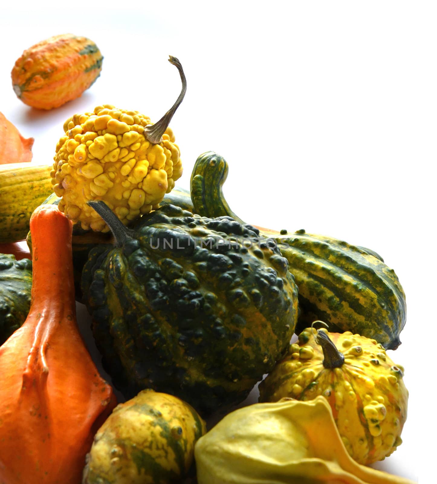 Bunch of gourds of different color and shape