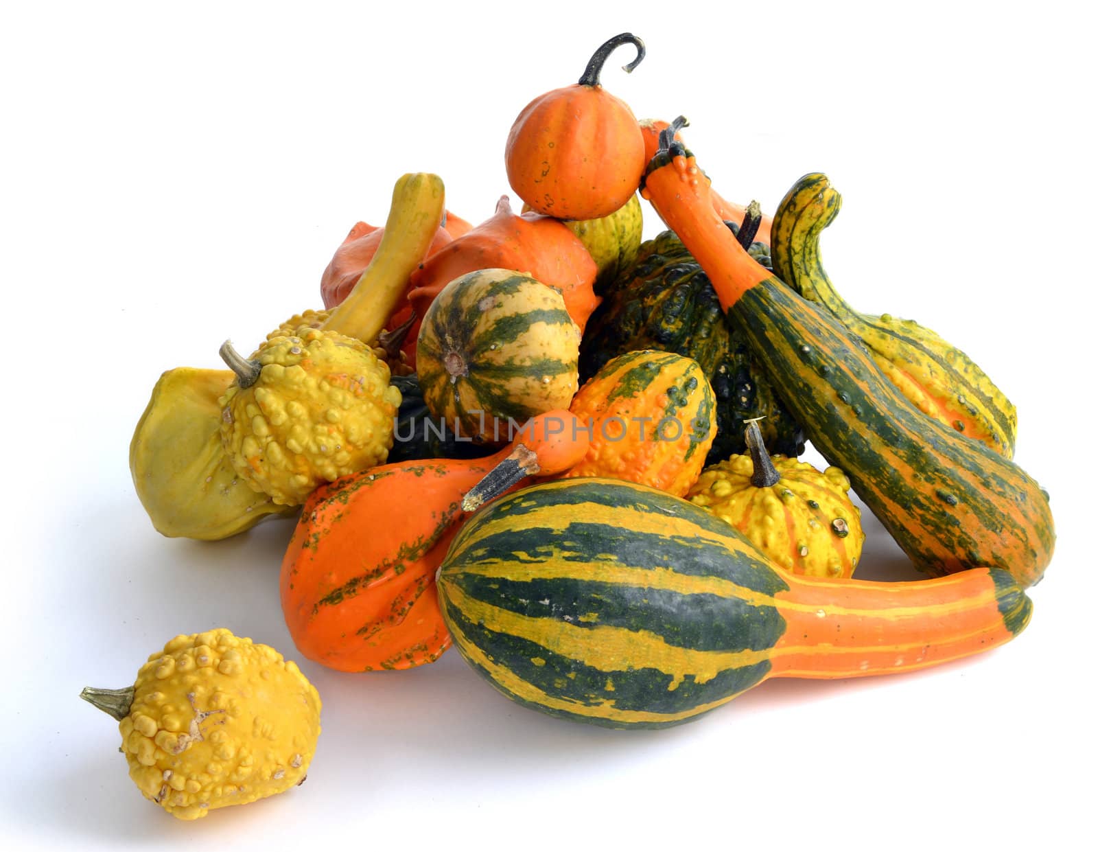 Bunch of gourds of different color and shape