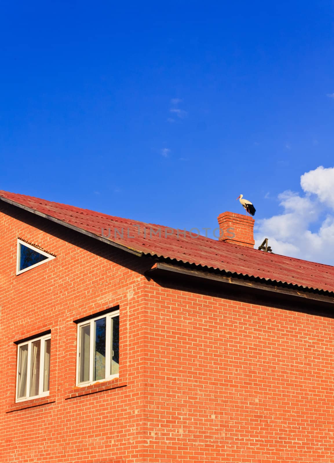 beautiful stork stand on roof by ryhor