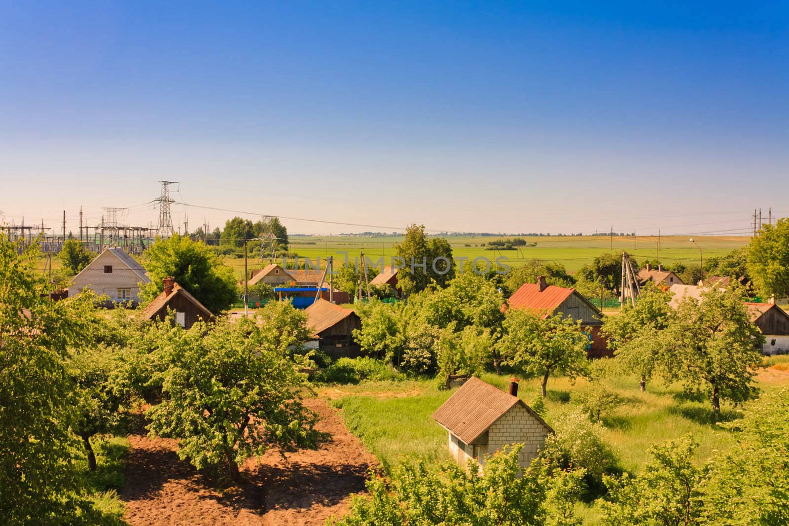 farm houses on the field