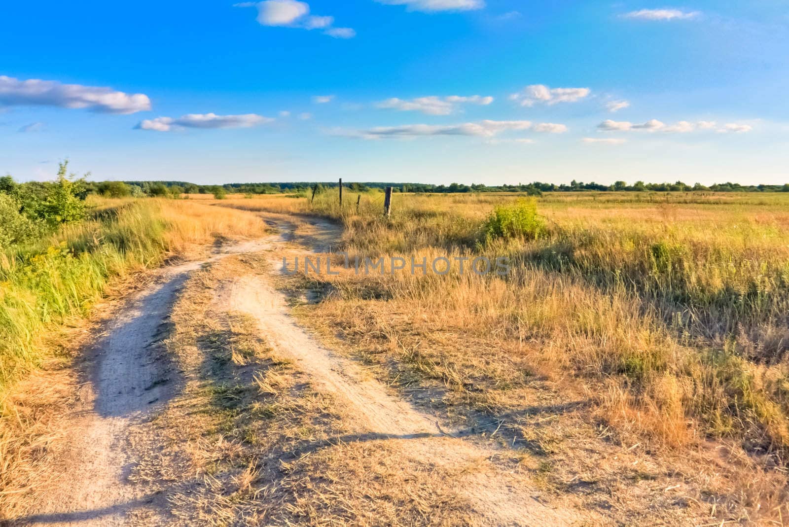 Dirty rural road in countryside