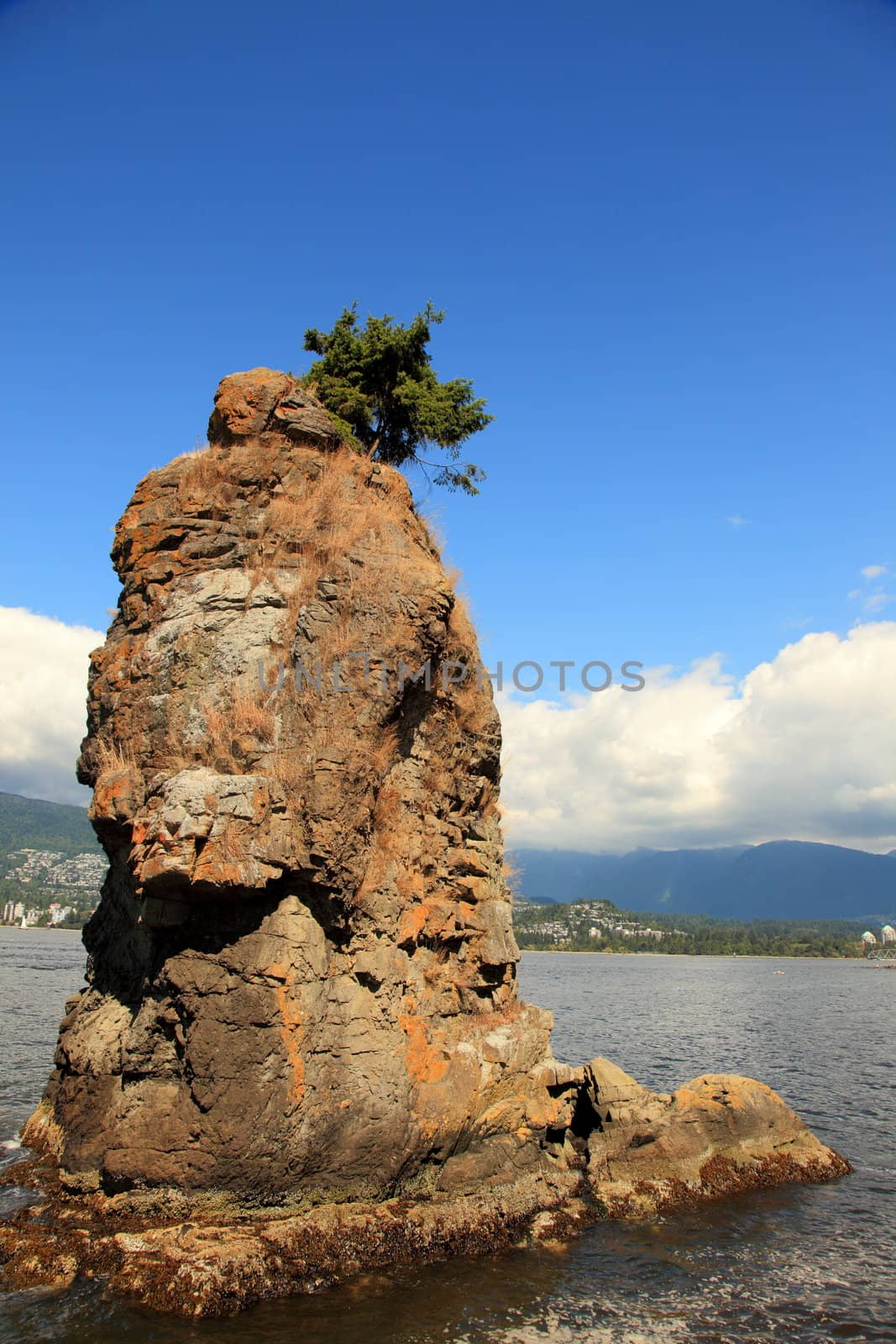 Siwash rock , a geological rock formation by njene