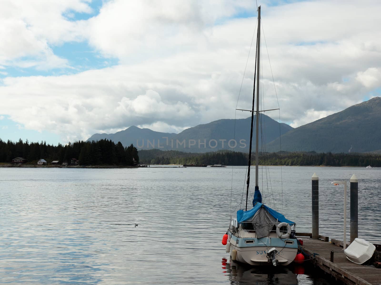 boats in Ketchikan bay by njene