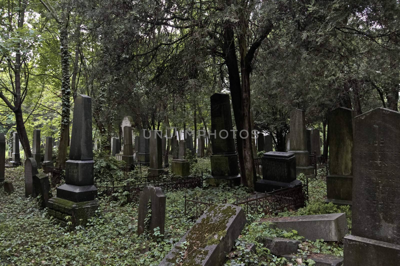 Abandoned jewish section of the central cemetery in Vienna Austria