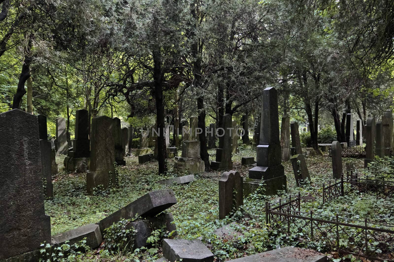 Lost jewish section of the central cemetery in Vienna Austria