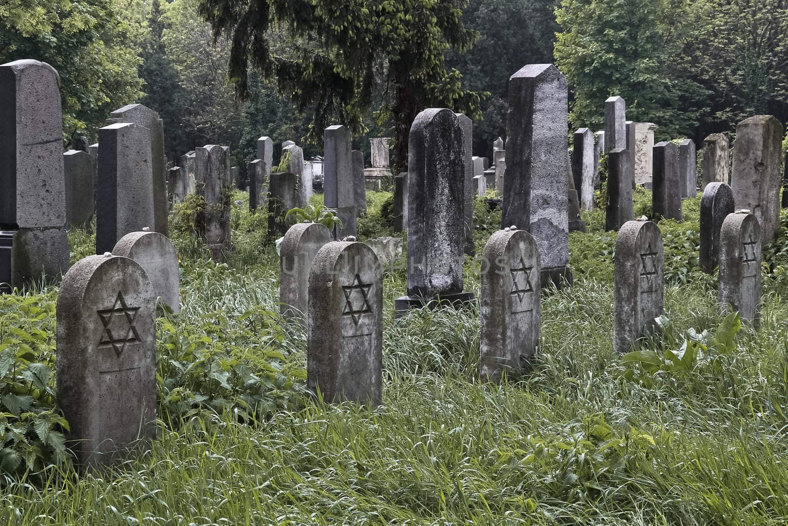 A set of jewish nameless graves with stones on the tombstones as the sign for having been visited recently