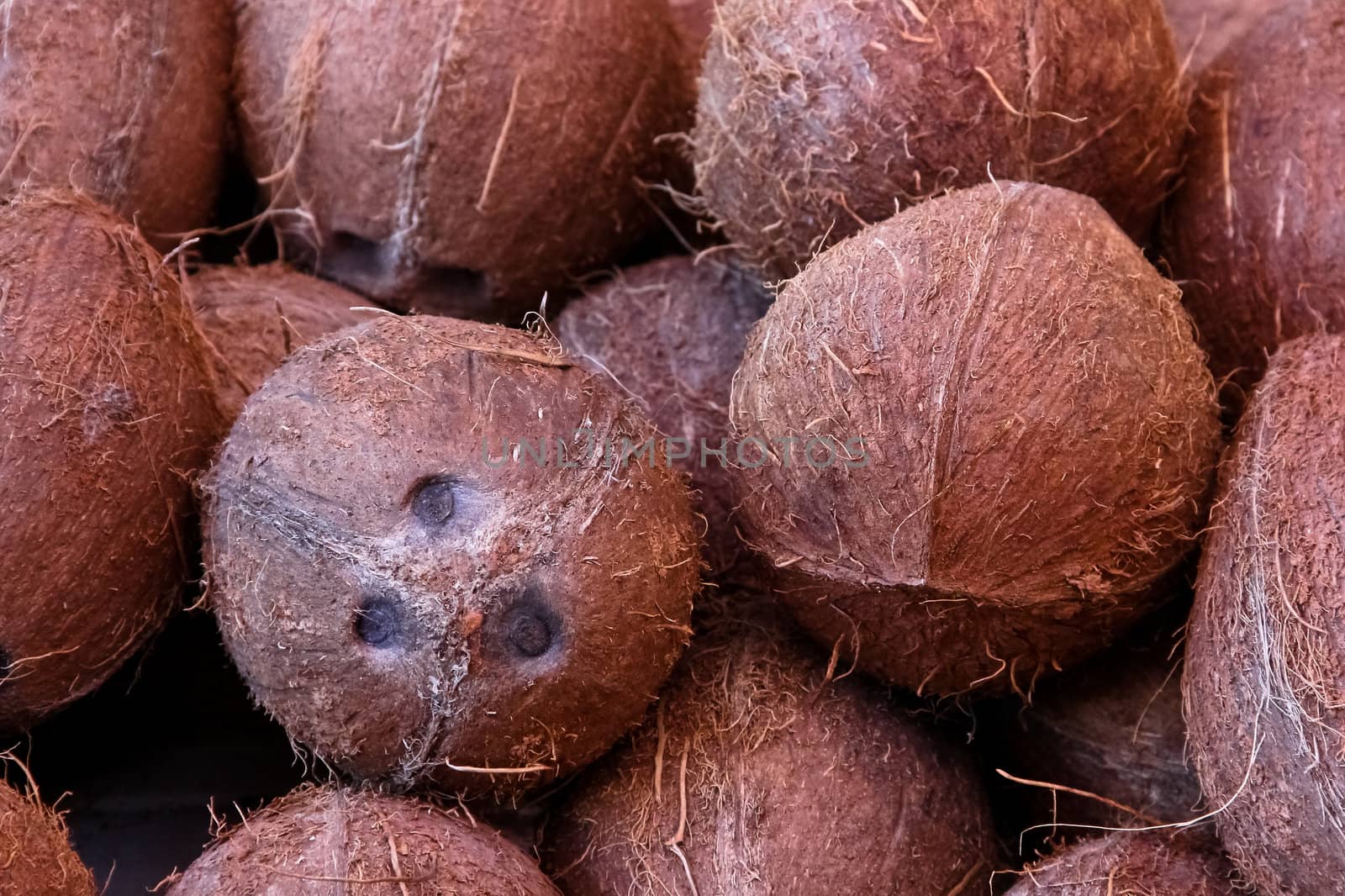 A set of coconuts on a market