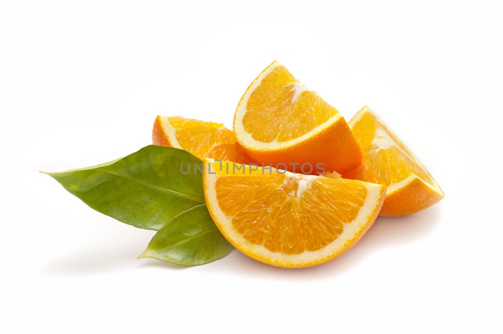 ecological orange on white background