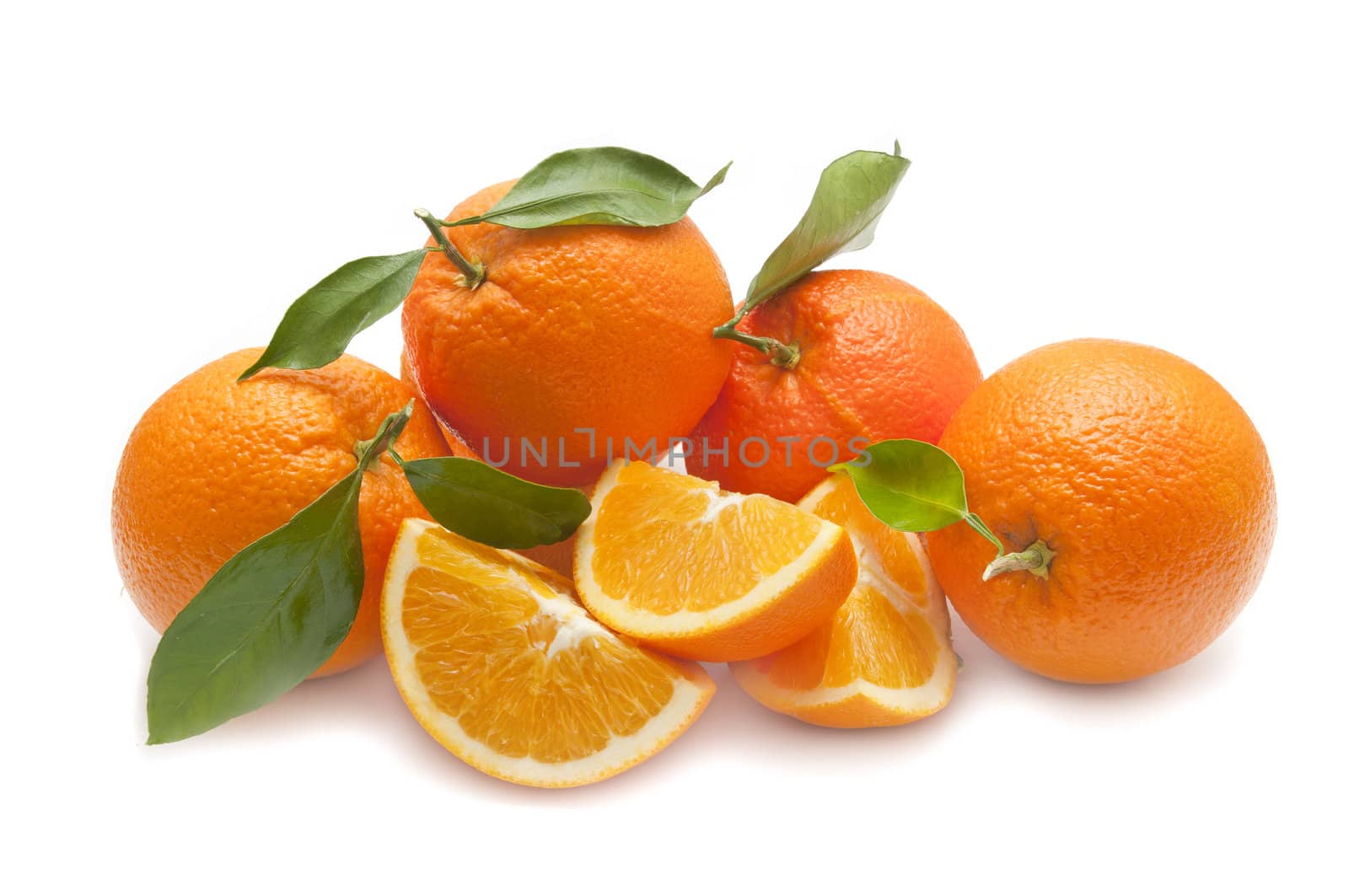 ecological orange on white background